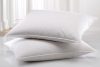 KISSEN Mikrofaser 70X90 cm 900 gr